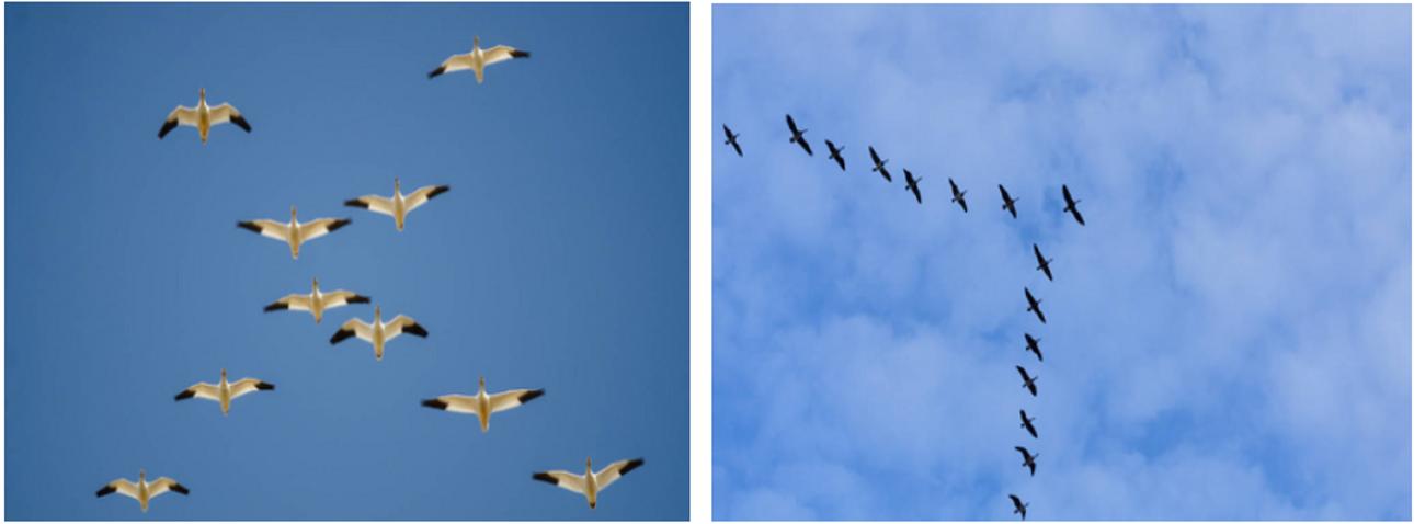 Fixed-wing Swarm Reconfiguration teaser